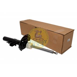 Right Hand Rear Shock Absorber 